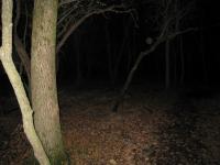 Chicago Ghost Hunters Group investigates Robinson Woods (225).JPG